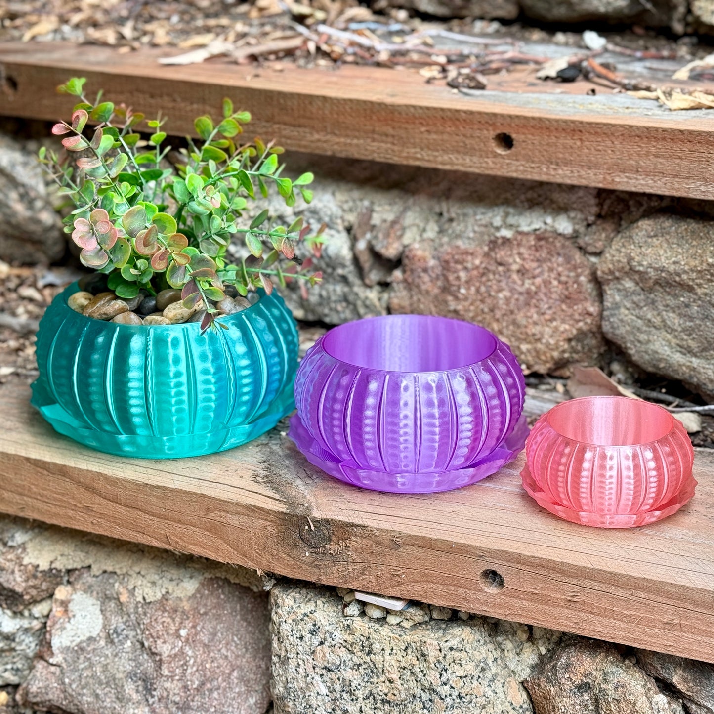 Sea Urchin Indoor Pot Set