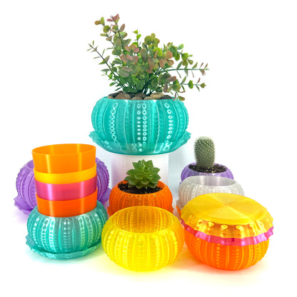 Sea Urchin Indoor Pot Set