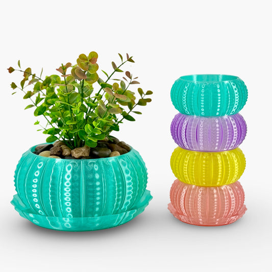 Sea Urchin Indoor Pot Set