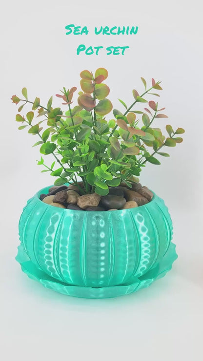 Sea Urchin Indoor Pot Set